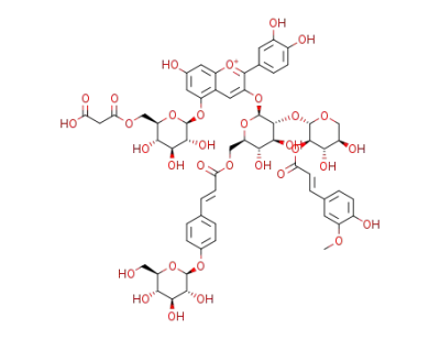 cyanidin 3-O-[2-O-(2-O-(trans-feruloyl)-β-xylopyranosyl)-6-O-(4-O-(β-glucopyranosyl)-trans-pcoumaroyl)-β-glucopyranoside]-5-O-[6-O-(malonyl)-β-glucopyranoside]