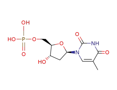 thymidine 5'-phosphate